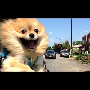 Meet your Posher, Selena